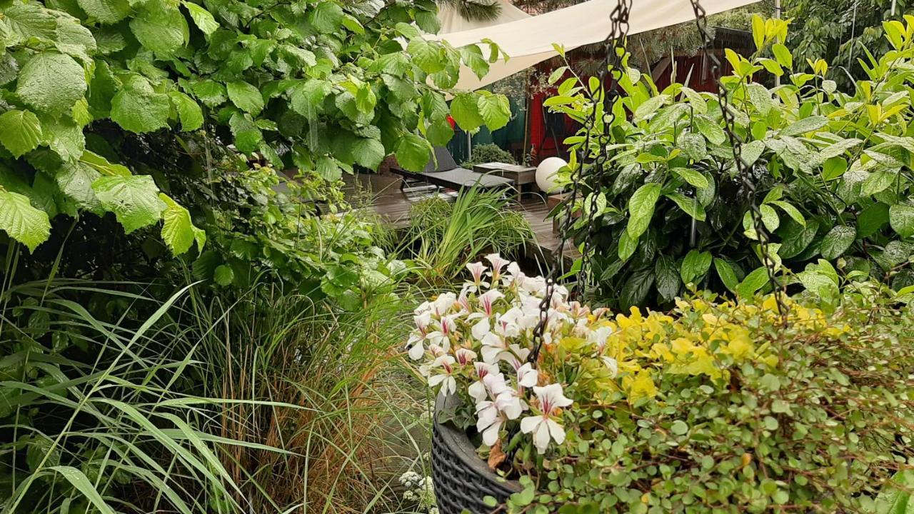 Ferienapartement Stuermer Nordhausen Eksteriør billede